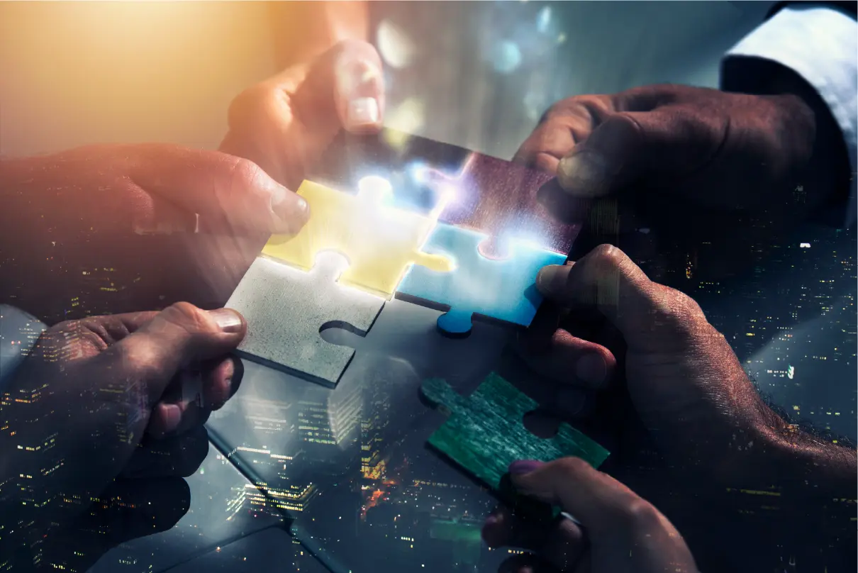 Partners & Managed Service Providers