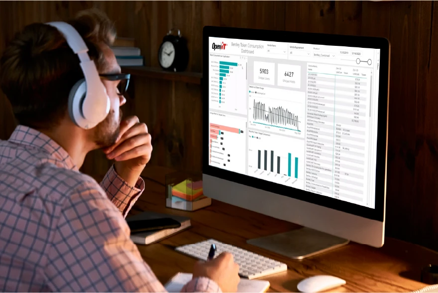 Business & Operations Analysts